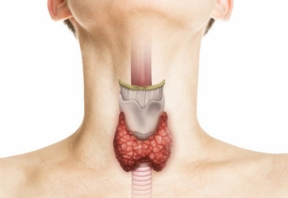 Laryngitis: everything about laryngitis and its treatment.